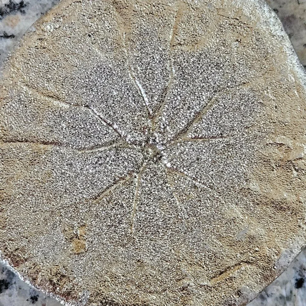 REGINA ANDREW SILVER SAND DOLLAR COASTAL BEACH VASE FILLER HOME TABLE DECOR